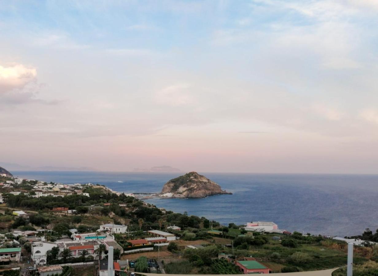 Villa Eleonora, Un Angolo Di Paradiso Ad Ischia Sant'Angelo  Exteriér fotografie