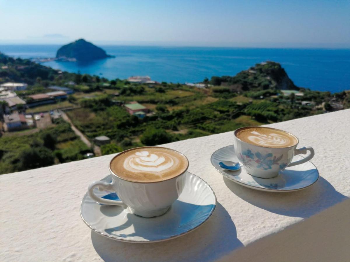 Villa Eleonora, Un Angolo Di Paradiso Ad Ischia Sant'Angelo  Exteriér fotografie