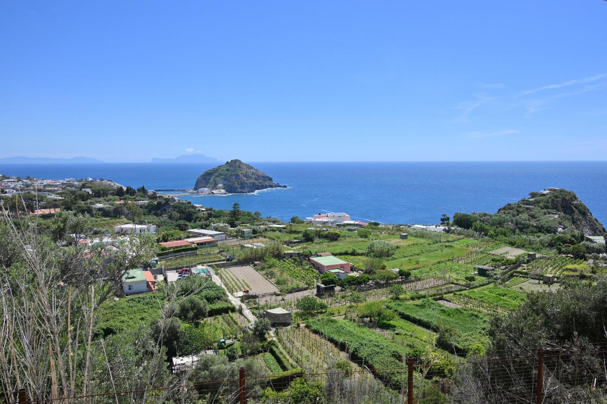 Villa Eleonora, Un Angolo Di Paradiso Ad Ischia Sant'Angelo  Exteriér fotografie