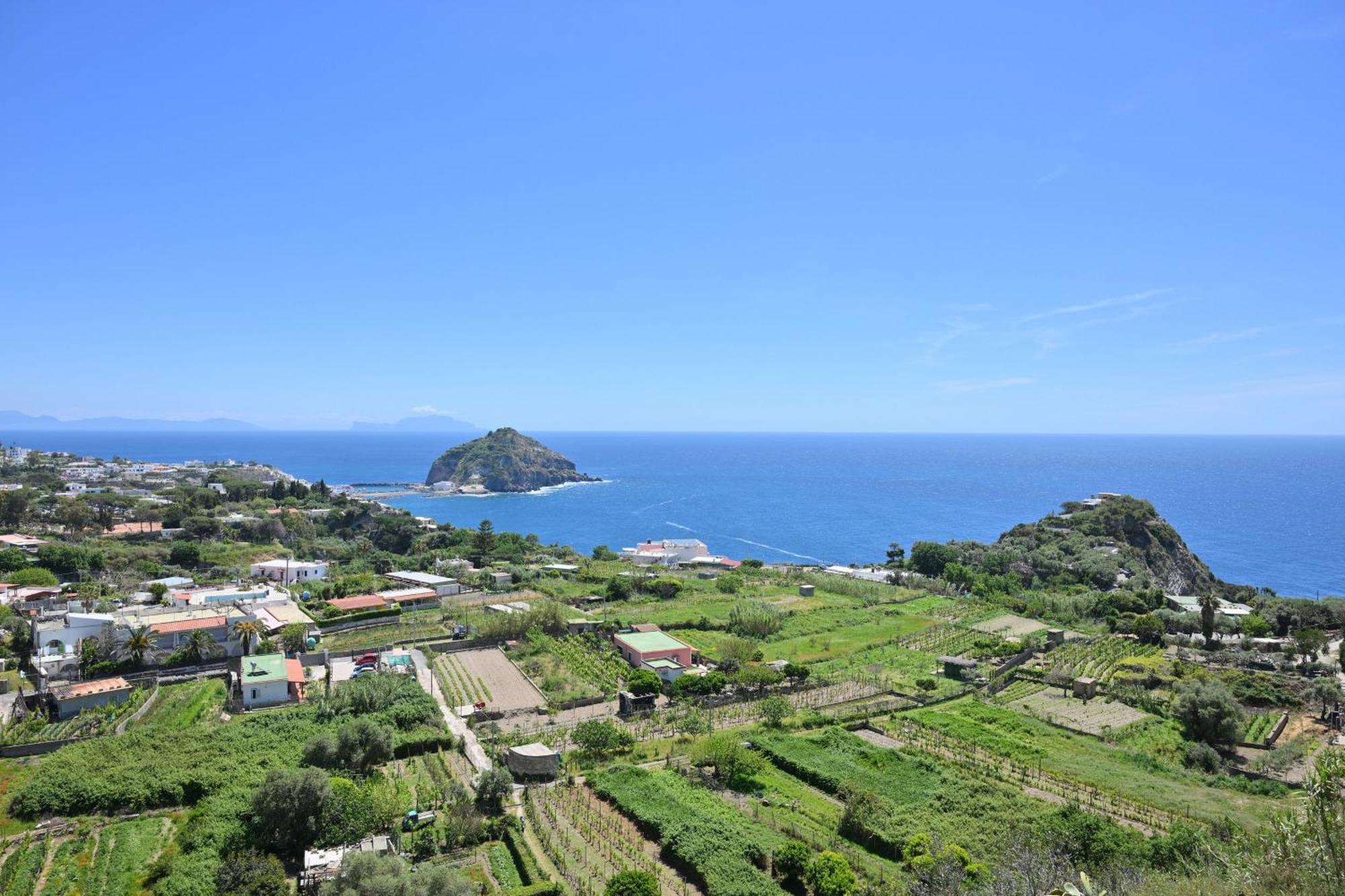 Villa Eleonora, Un Angolo Di Paradiso Ad Ischia Sant'Angelo  Exteriér fotografie