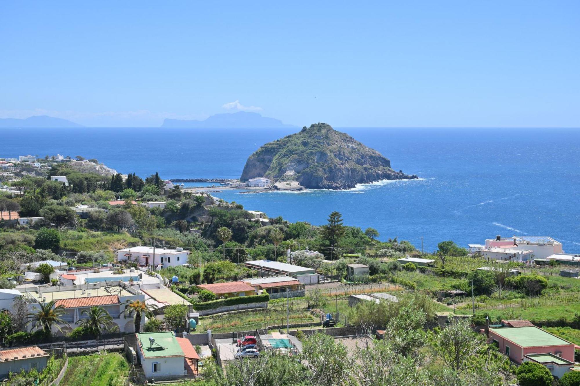 Villa Eleonora, Un Angolo Di Paradiso Ad Ischia Sant'Angelo  Exteriér fotografie