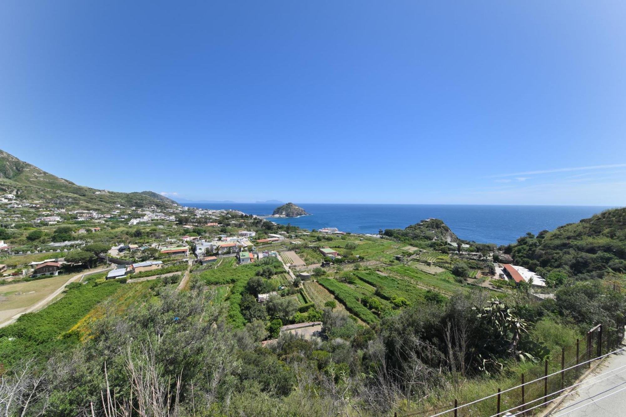 Villa Eleonora, Un Angolo Di Paradiso Ad Ischia Sant'Angelo  Exteriér fotografie