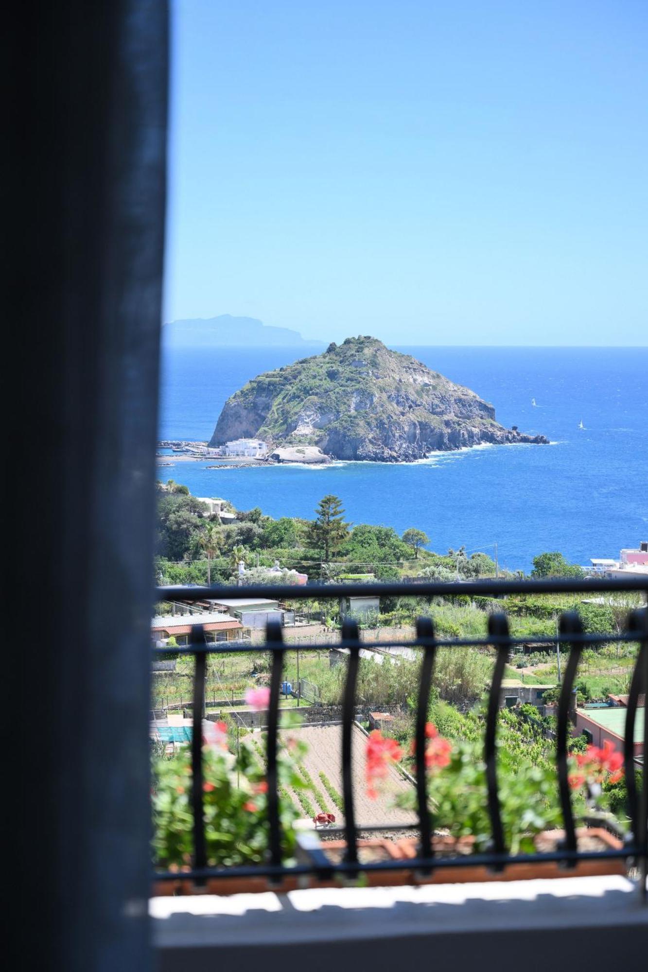 Villa Eleonora, Un Angolo Di Paradiso Ad Ischia Sant'Angelo  Exteriér fotografie