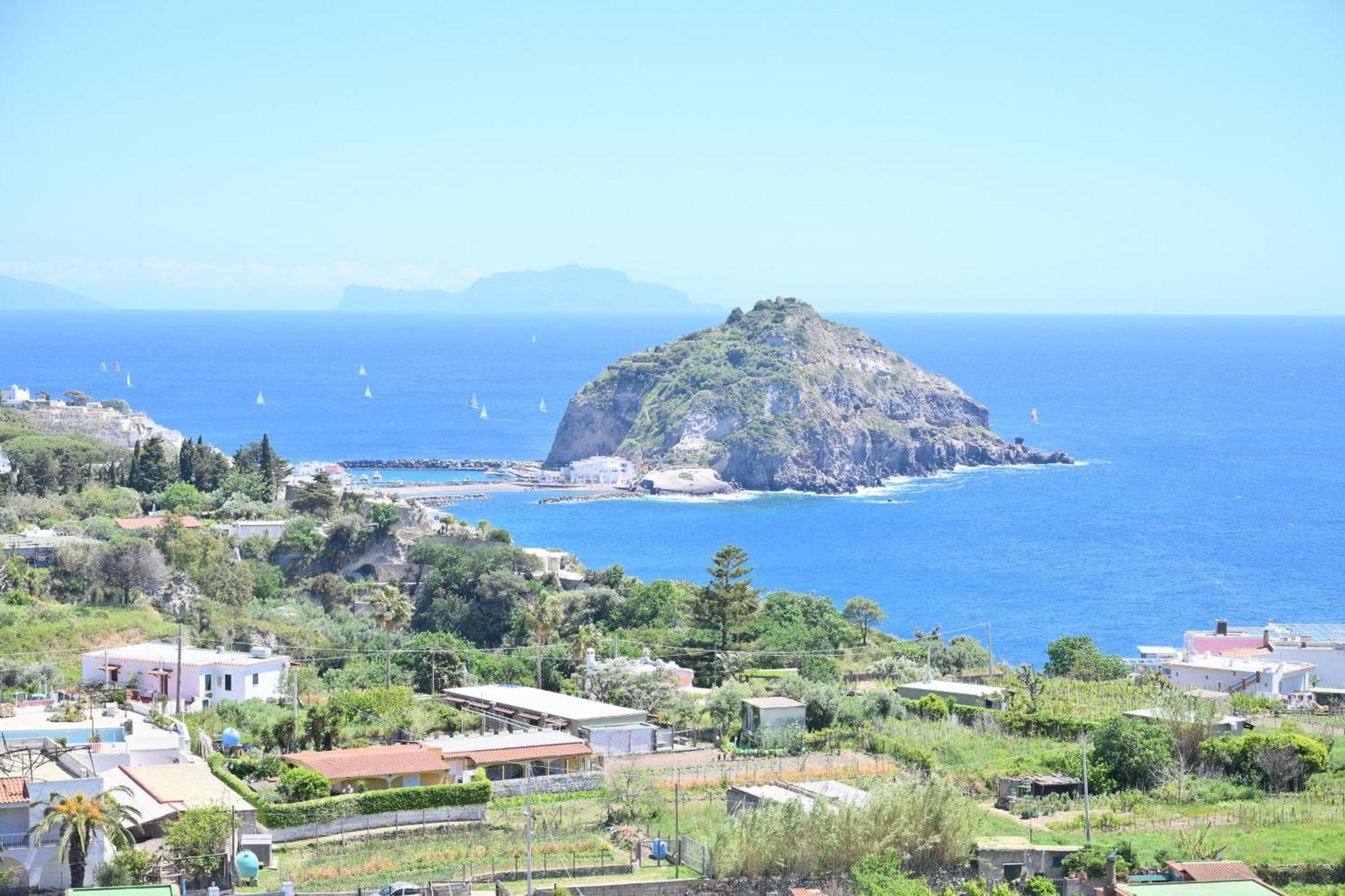 Villa Eleonora, Un Angolo Di Paradiso Ad Ischia Sant'Angelo  Pokoj fotografie