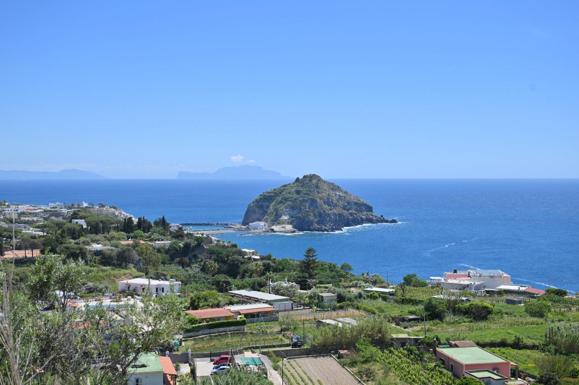 Villa Eleonora, Un Angolo Di Paradiso Ad Ischia Sant'Angelo  Pokoj fotografie